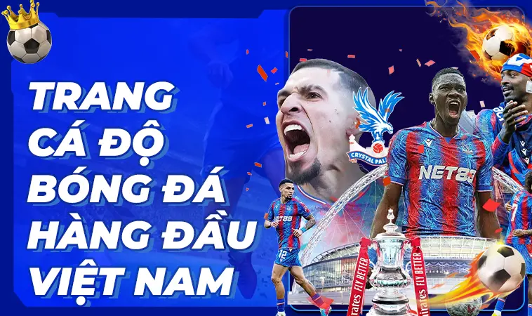 Trang cá độ bóng đá hàng đầu Việt Nam