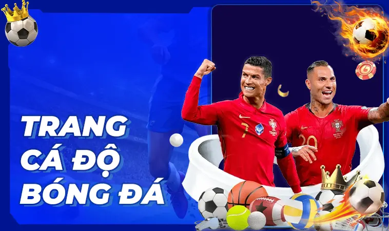 Trang cá độ bóng đá an toàn, chất lượng để tham gia cá cược